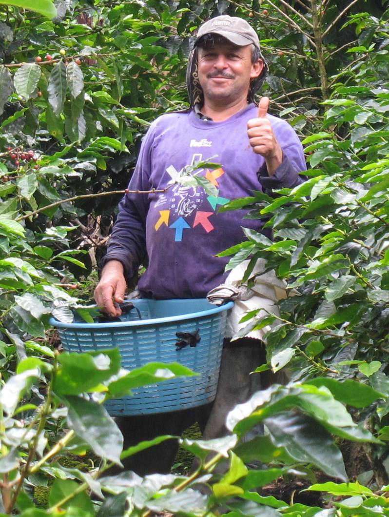 la_sierra_platanares_coffee_farmer_thumb